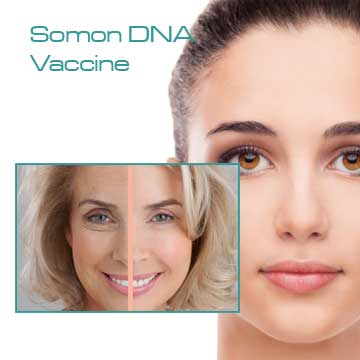 Antiaging Pi System Somon DNA Vaccine Mesotherapy Detail Information